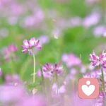 you	don＇t	know	me的头像