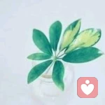 唯愿心静的头像