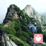 寰宇天下的头像