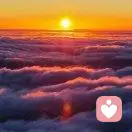 心中有你，不曾忘记的头像