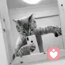 物以稀为贵.!的头像