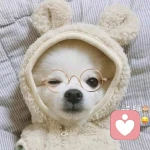 不哭不哭	乖～的头像