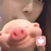 梦之泪的头像