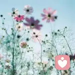 芷璃墨轩				=^_^=的头像