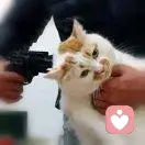 善者自伤皆终苦的头像