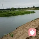 山间清泉的头像
