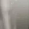 21491011