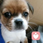 微信13564320467的头像