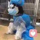 湖北潘长江.的头像