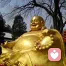 赢的头像