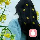 陌上花开的头像