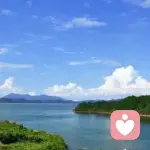 岂能无牌！！的头像