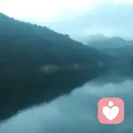 +8617503974879的頭像