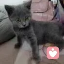 顿靖的头像