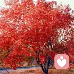 快樂美一天的頭像