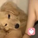 Aɢᴀɪɴ.的头像