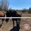 小眼睛看大世界