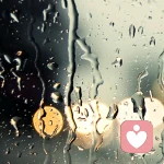 心灵的漂泊的头像