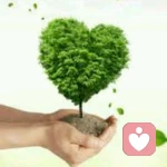 心理咨询师的头像