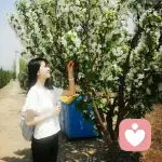 你猜我猜不猜的头像