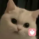 心理咨询师（欢迎大家来找我咨询任何问题)的头像