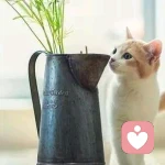 解開向未來的頭像