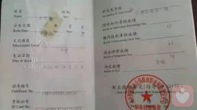 国家二级心理咨询师证