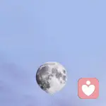 宁缺毋滥的头像