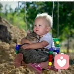 我亲爱的的头像