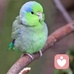 空白的记忆的头像