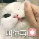 叫你傻子的头像