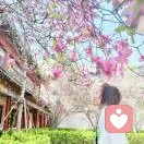 孟岩的头像