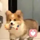 熬夜大王