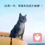 ~月下寻己~的头像