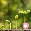 枝子的头像