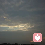 腼腆的巴豆的头像