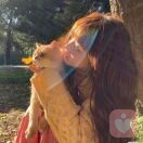 东篱把酒黄昏后