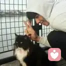 拜托自己一定开心的头像