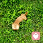 清夏蓝鲸海港小镇与凉梦.的头像