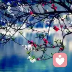 夜雨星空的头像