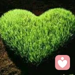 디지털카메라的头像