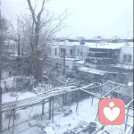 剩下的盛夏的头像