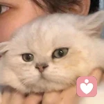 川上富江.的头像