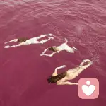 aཻ	i俗人大大的头像