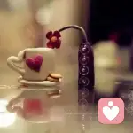 群舞飞扬的头像