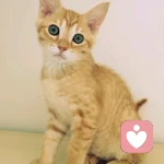 |▍ Crazy.ヾ暮念的头像