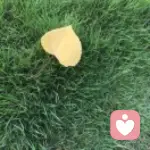 為什么