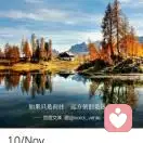 没有面具的伪装的头像