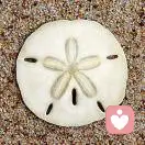 你的爹地的头像