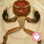 我被被子封印了的头像